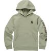 Carhartt boys Hoodie Fleece Pullover SweatshirtHooded Sweatshirt(Jade)