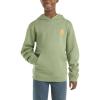 Carhartt boys Hoodie Fleece Pullover SweatshirtHooded Sweatshirt(Loden Frost Green)