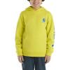 Carhartt boys Hoodie Fleece Pullover SweatshirtHooded Sweatshirt(Sulphur Spring)