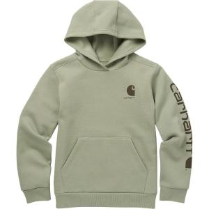 Carhartt boys Hoodie Fleece Pullover SweatshirtHooded Sweatshirt(Jade)