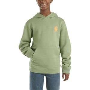 Carhartt boys Hoodie Fleece Pullover SweatshirtHooded Sweatshirt(Loden Frost Green)