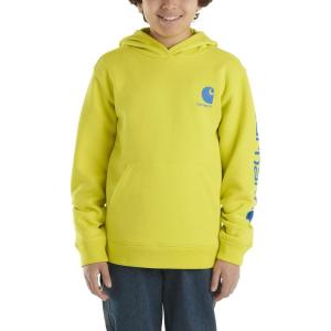 Carhartt boys Hoodie Fleece Pullover SweatshirtHooded Sweatshirt(Sulphur Spring)