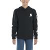 Carhartt Boys’ Sweatshirt(Caviar Black)