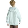 Carhartt Boys’ Sweatshirt(Coronet Blue)