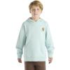 Carhartt Boys’ Sweatshirt(Coronet Blue)